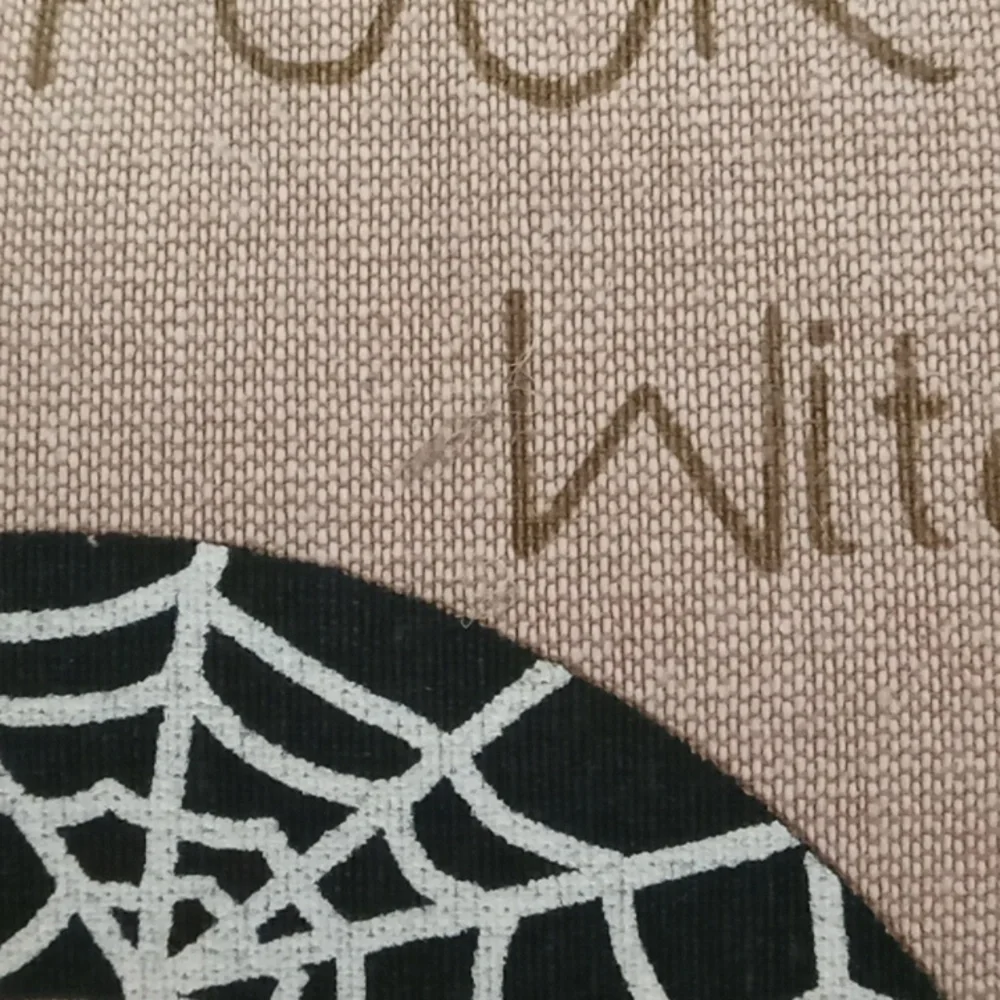 Pier 1 Boo Spider Web Halloween Pillow